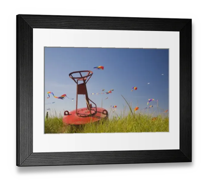 Framed Print : WA, Long Beach, International Kite Festival, Colorful kites
