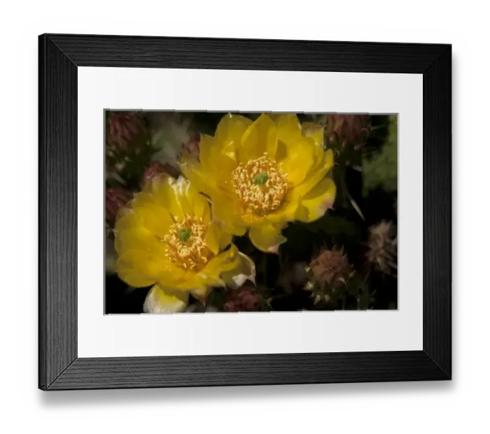 Framed Print : USA, North America, Wyoming Framed Print : USA, North America, Wyoming