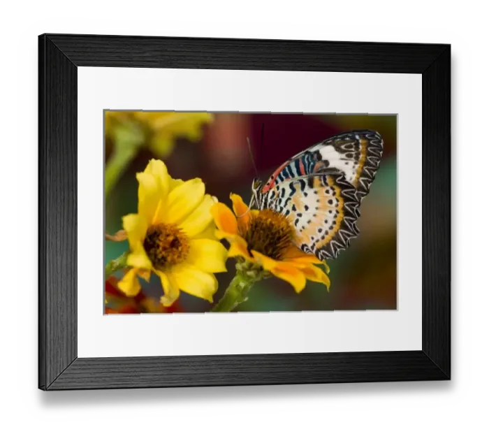 Framed Print : USA, North America, Washington Framed Print : USA, North America, Washington