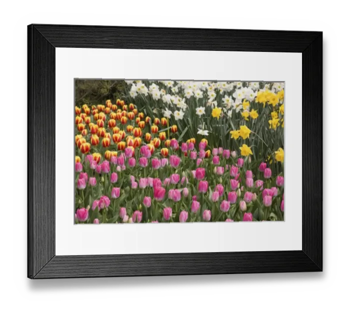 Framed Print : USA, North America, Washington Framed Print : USA, North America, Washington