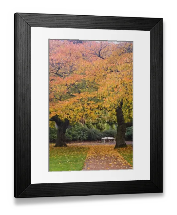 Framed Print : USA, North America, Washington Framed Print : USA, North America, Washington
