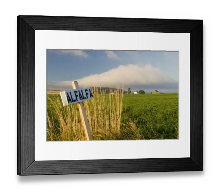 Framed Print : USA, North America, Washington Framed Print : USA, North America, Washington