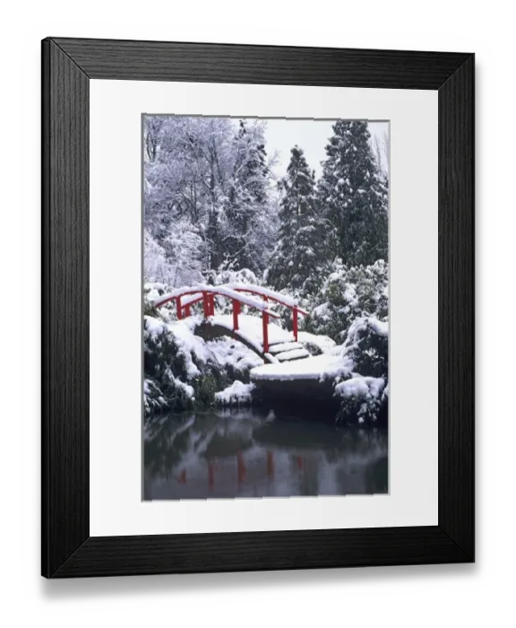 Framed Print : WA, Seattle, Moon bridge and pond after winter snow storm; Kubota Garden Framed Print : WA, Seattle, Moon bridge and pond after winter snow storm; Kubota Garden