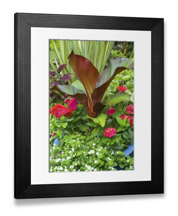Framed Print : USA, North America, Washington Framed Print : USA, North America, Washington