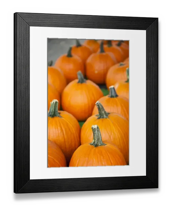 Framed Print : USA, West Virginia, Charleston. Capitol Market, pumpkins, autumn