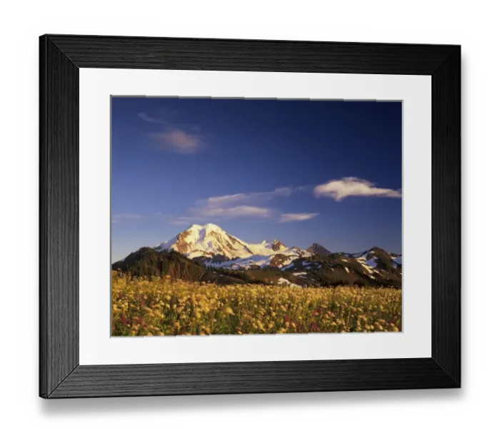 Framed Print : WA, Mount Baker Wilderness, Mount Baker, view from Skyline Divide Framed Print : WA, Mount Baker Wilderness, Mount Baker, view from Skyline Divide