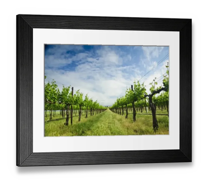 Framed Print : USA, North America, Washington