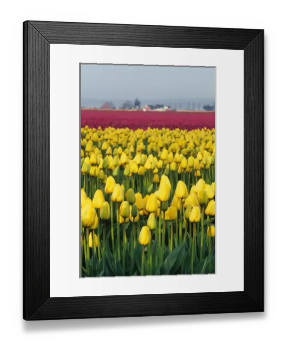 Framed Print : USA, North America, Washington Framed Print : USA, North America, Washington