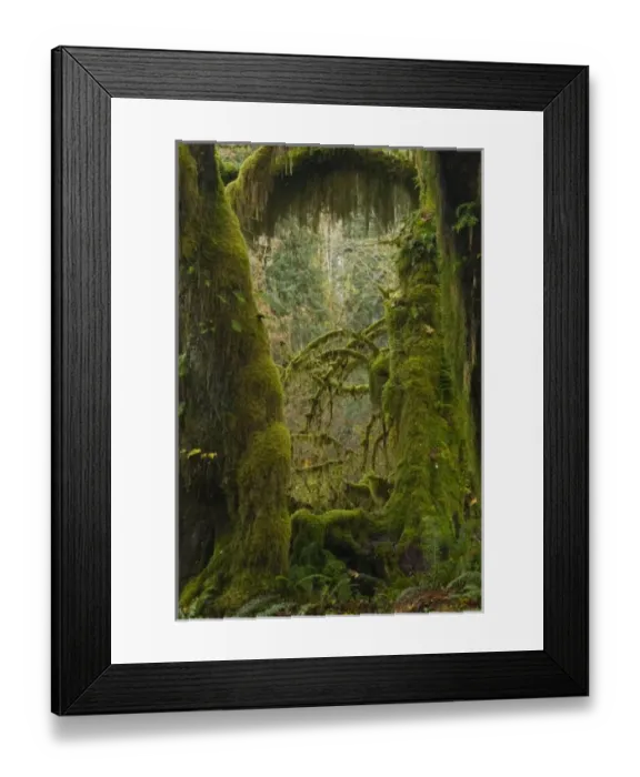 Framed Print : USA, North America, Washington