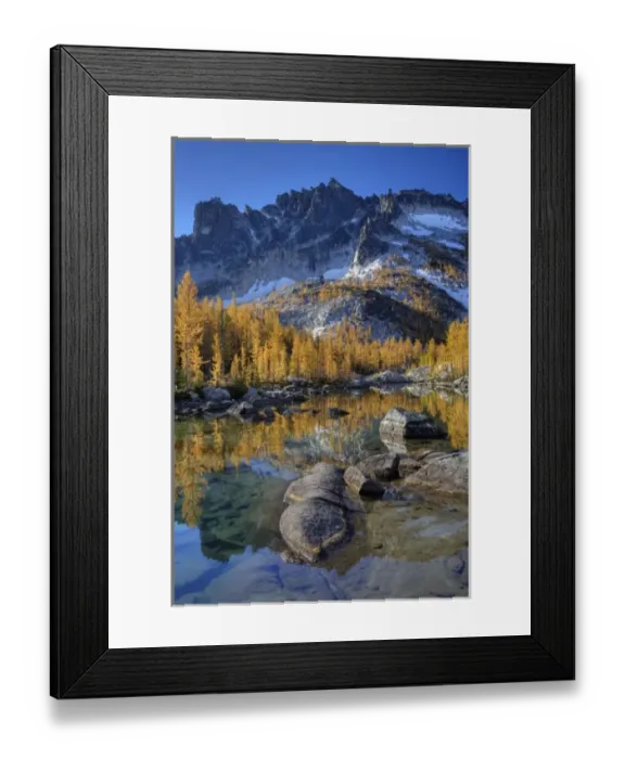 Framed Print : WA, Alpine Lakes Wilderness, Enchantment Lakes, Golden Larch trees, reflected in