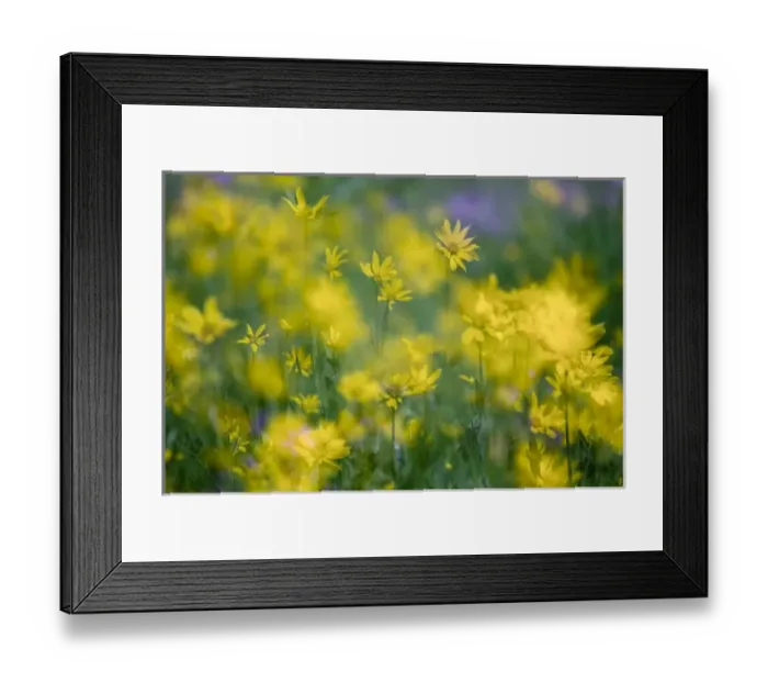 Framed Print : USA, North America, Wyoming Framed Print : USA, North America, Wyoming
