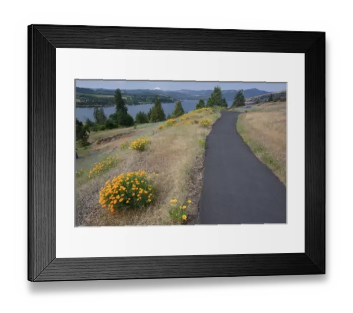 Framed Print : USA, North America, Washington Framed Print : USA, North America, Washington