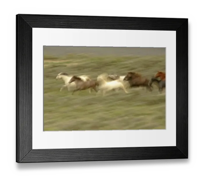 Framed Print : USA, North America, Wyoming Framed Print : USA, North America, Wyoming