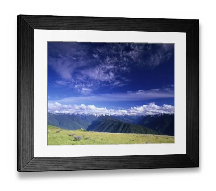 Framed Print : WA, Olympic NP, Olympic Mountain Range, view from Hurricane Ridge