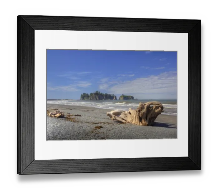 Framed Print : USA, Washington, Olympic National Park, Rialto Beach, Driftwood and James Island Framed Print : USA, Washington, Olympic National Park, Rialto Beach, Driftwood and James Island