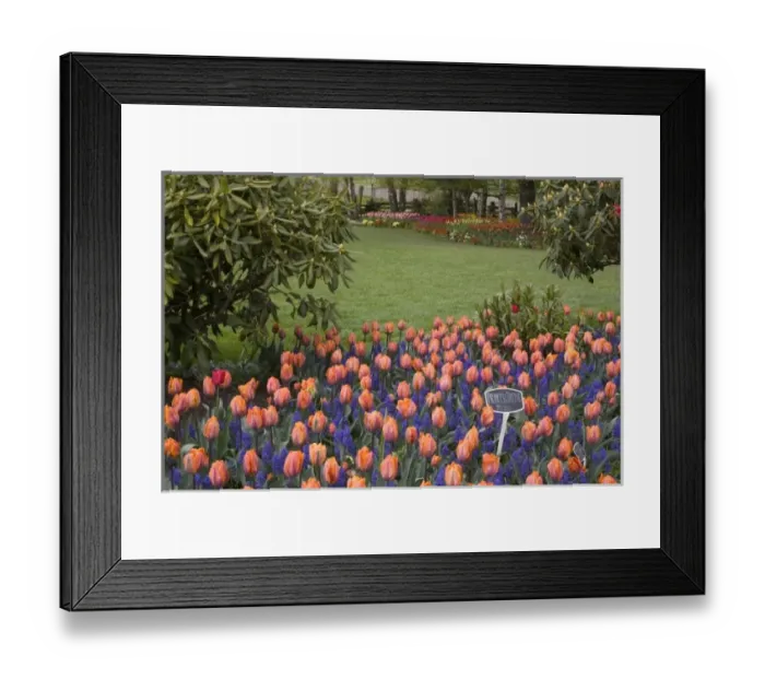 Framed Print : USA, North America, Washington Framed Print : USA, North America, Washington