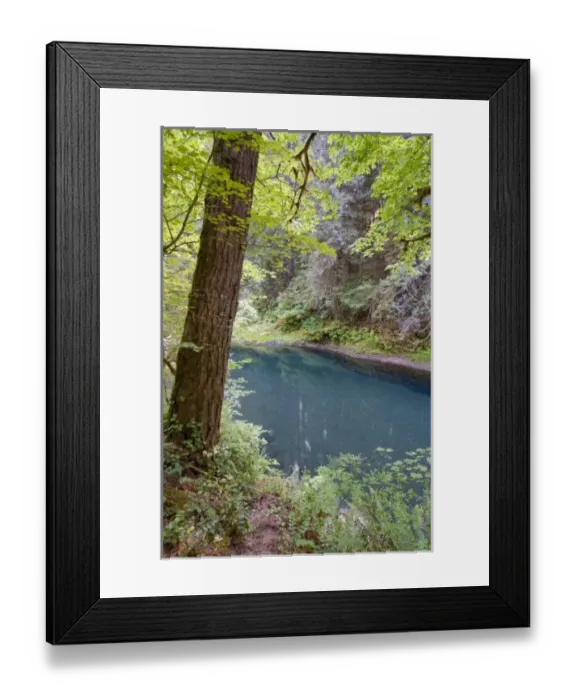 Framed Print : USA, North America, Washington Framed Print : USA, North America, Washington