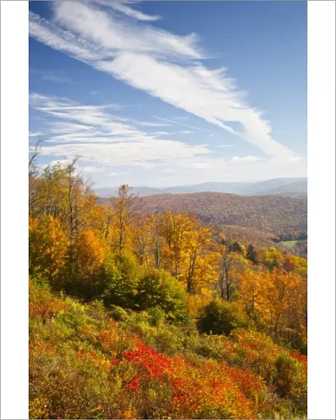 USA, West Virginia, Cheat Bridge. Monongahela National Forest, fall foliage, Rt. 250