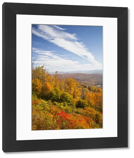 USA, West Virginia, Cheat Bridge. Monongahela National Forest, fall foliage, Rt. 250