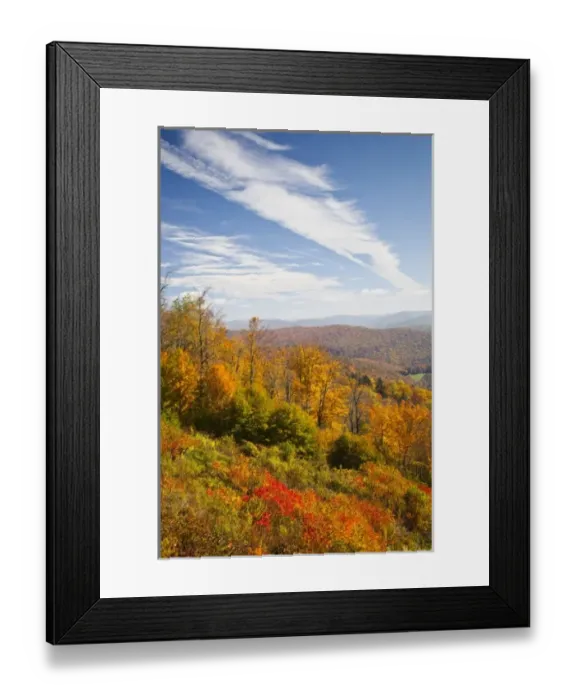 Framed Print : USA, West Virginia, Cheat Bridge. Monongahela National Forest, fall foliage, Rt. 250 Framed Print : USA, West Virginia, Cheat Bridge. Monongahela National Forest, fall foliage, Rt. 250