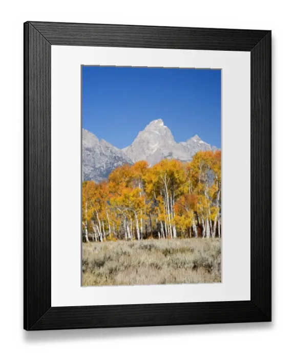 Framed Print : USA, North America, Wyoming Framed Print : USA, North America, Wyoming