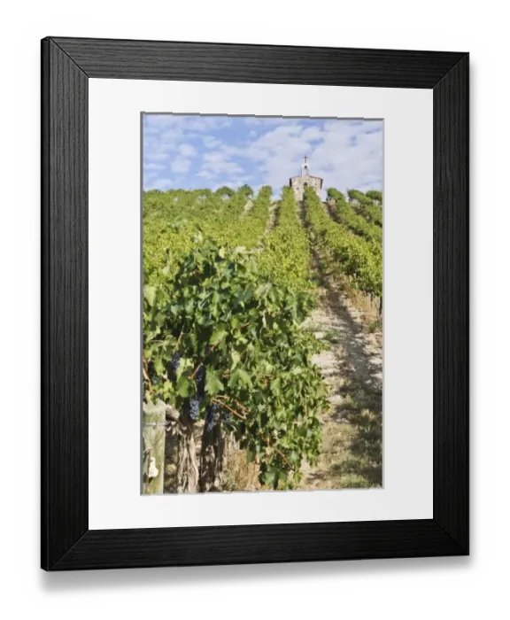 Framed Print : USA, North America, Washington