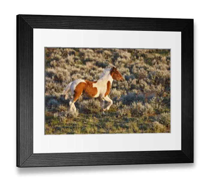 Framed Print : USA, North America, Wyoming Framed Print : USA, North America, Wyoming