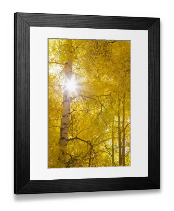 Framed Print : USA, North America, Wyoming Framed Print : USA, North America, Wyoming