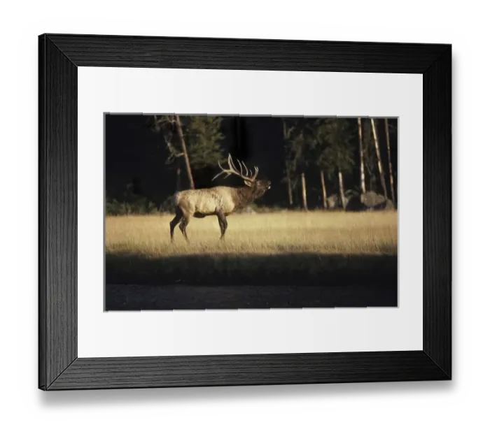 Framed Print : USA, North America, Wyoming Framed Print : USA, North America, Wyoming