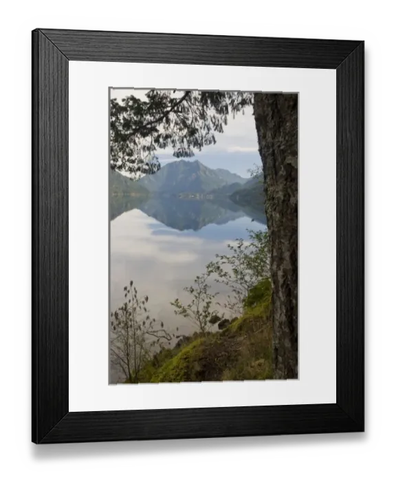 Framed Print : USA, WA, Olympic Peninsula. Lake Crescent is deep lake carved by glaciers. Located Framed Print : USA, WA, Olympic Peninsula. Lake Crescent is deep lake carved by glaciers. Located