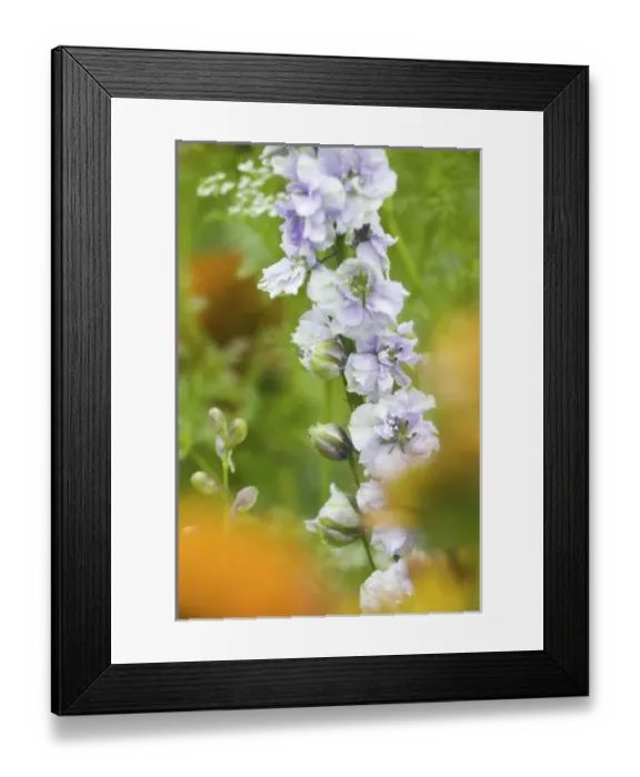 Framed Print : USA, North America, Washington Framed Print : USA, North America, Washington
