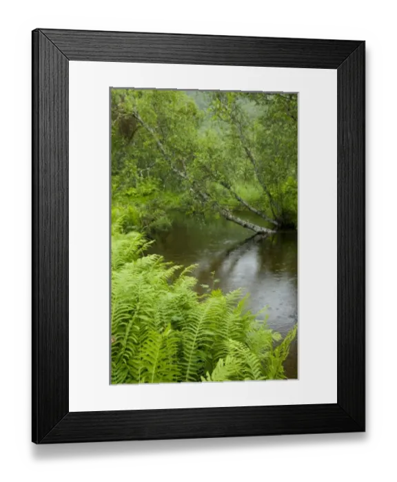 Framed Print : Europe, Norway Framed Print : Europe, Norway