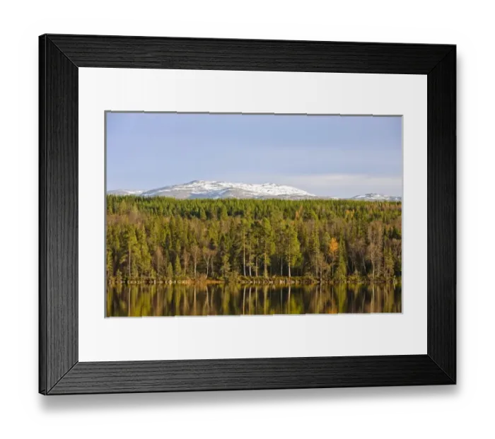 Framed Print : Sweden, Jamtland, Djupsjon. View of Djupsjon (Deep Lake) and surrounding Boreal forest Framed Print : Sweden, Jamtland, Djupsjon. View of Djupsjon (Deep Lake) and surrounding Boreal forest