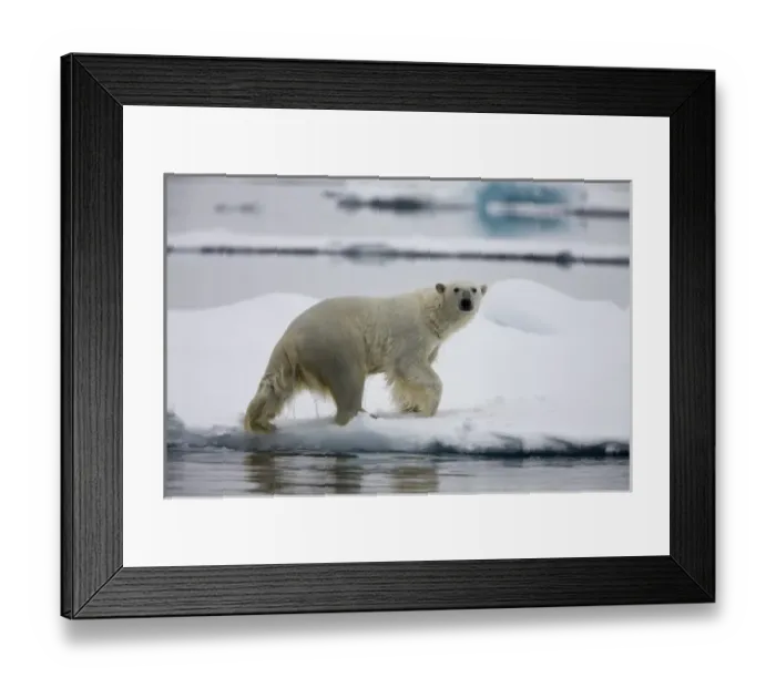 Framed Print : Europe, Norway