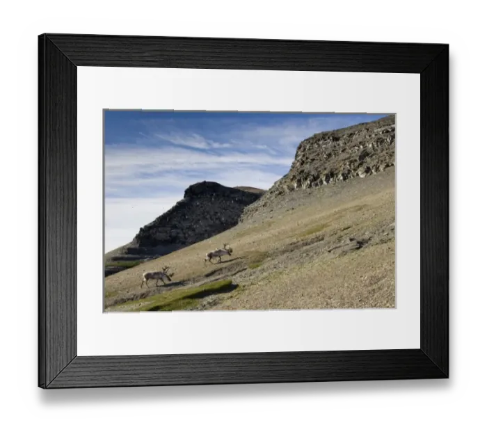 Framed Print : Europe, Norway Framed Print : Europe, Norway