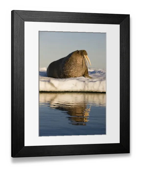Framed Print : Europe, Norway Framed Print : Europe, Norway