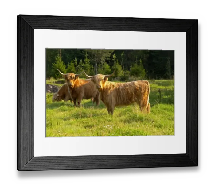 Framed Print : Europe, Sweden