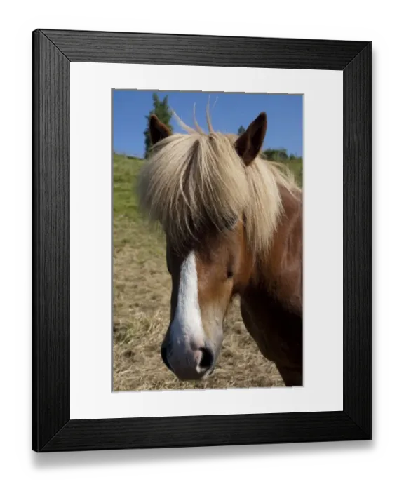 Framed Print : Europe, Norway