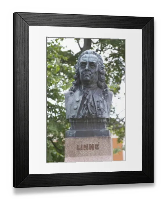 Framed Print : Europe, Sweden Framed Print : Europe, Sweden