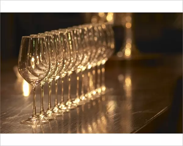 A straight row of wine tasting glasses lilned up on a dark wooden table. Ulriksdal