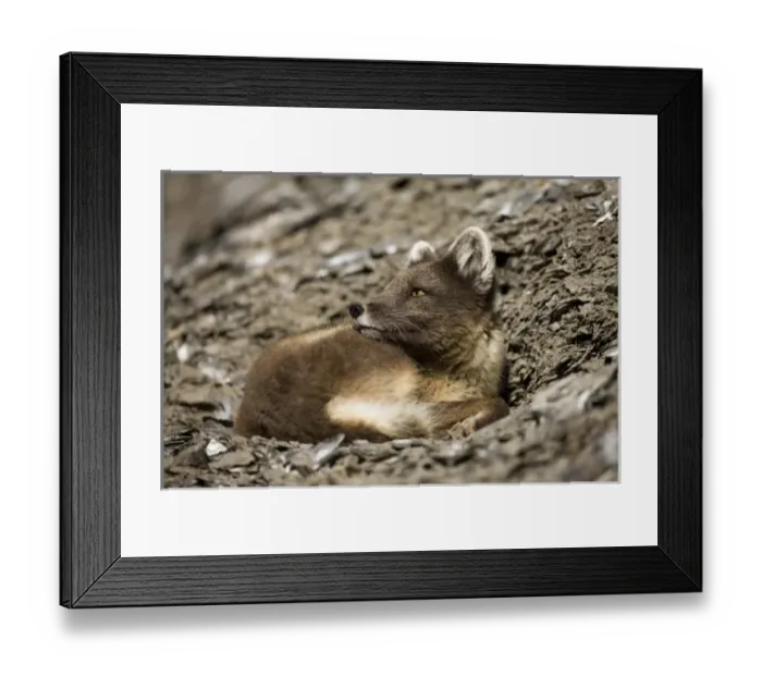 Framed Print : Europe, Norway Framed Print : Europe, Norway