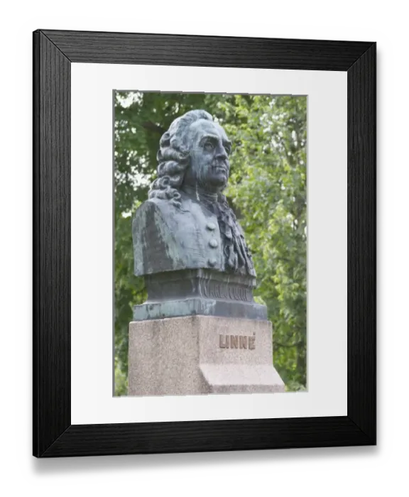 Framed Print : Europe, Sweden Framed Print : Europe, Sweden