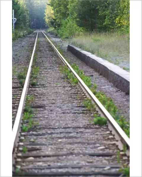 Converging railway tracks. Smaland region. Sweden, Europe