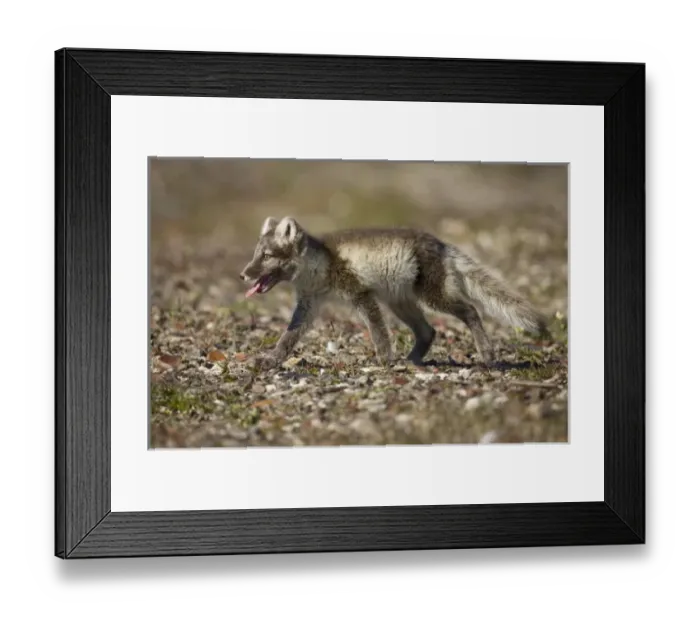 Framed Print : Europe, Norway Framed Print : Europe, Norway
