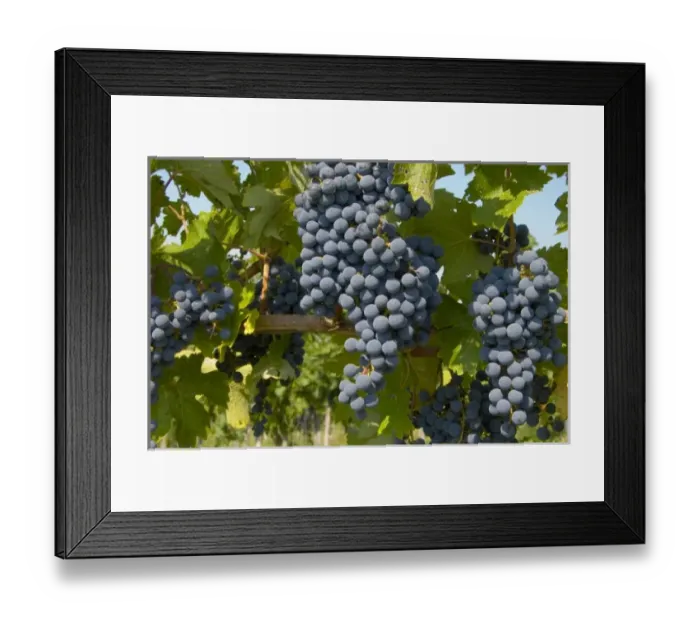 Framed Print : Europe, Italy Framed Print : Europe, Italy