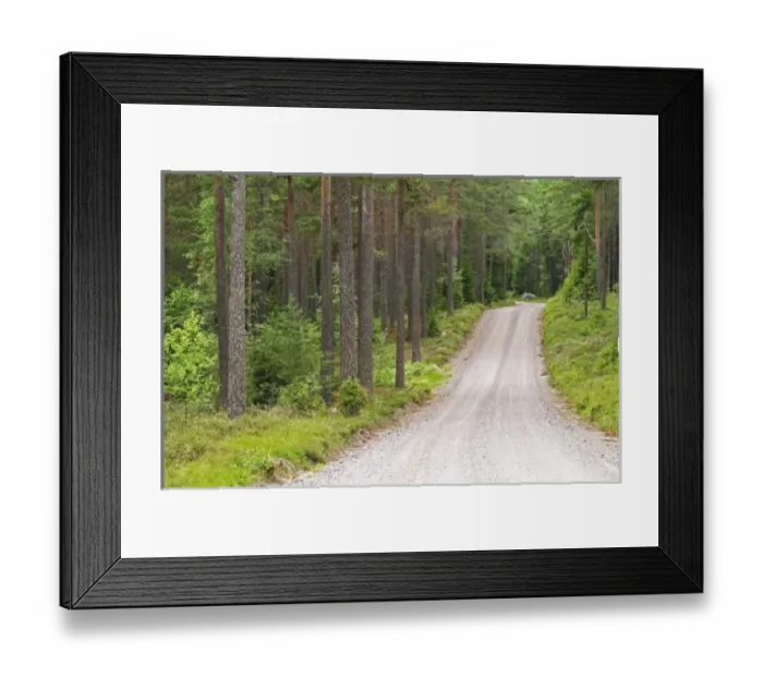 Framed Print : Europe, Sweden Framed Print : Europe, Sweden