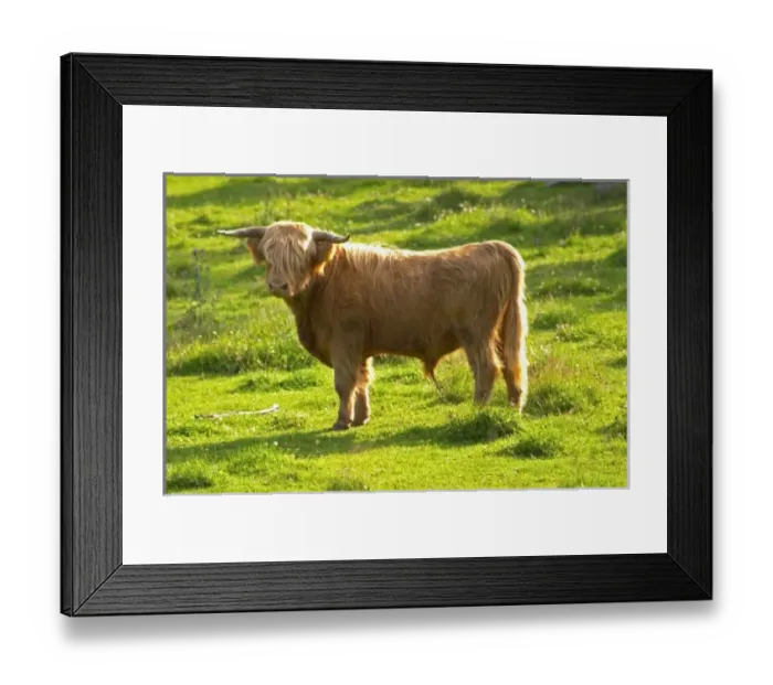 Framed Print : Europe, Sweden Framed Print : Europe, Sweden