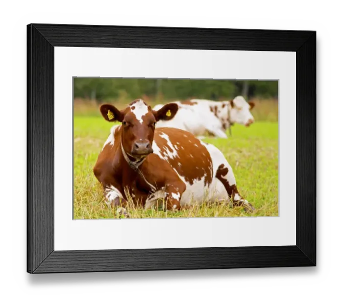 Framed Print : Europe, Sweden
