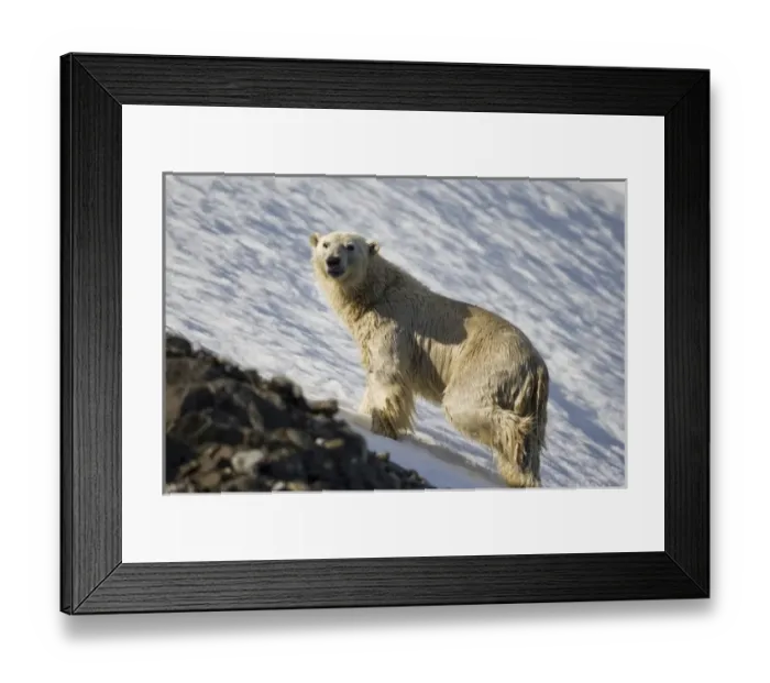 Framed Print : Europe, Norway Framed Print : Europe, Norway