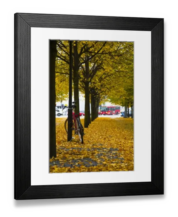 Framed Print : Europe, Sweden Framed Print : Europe, Sweden